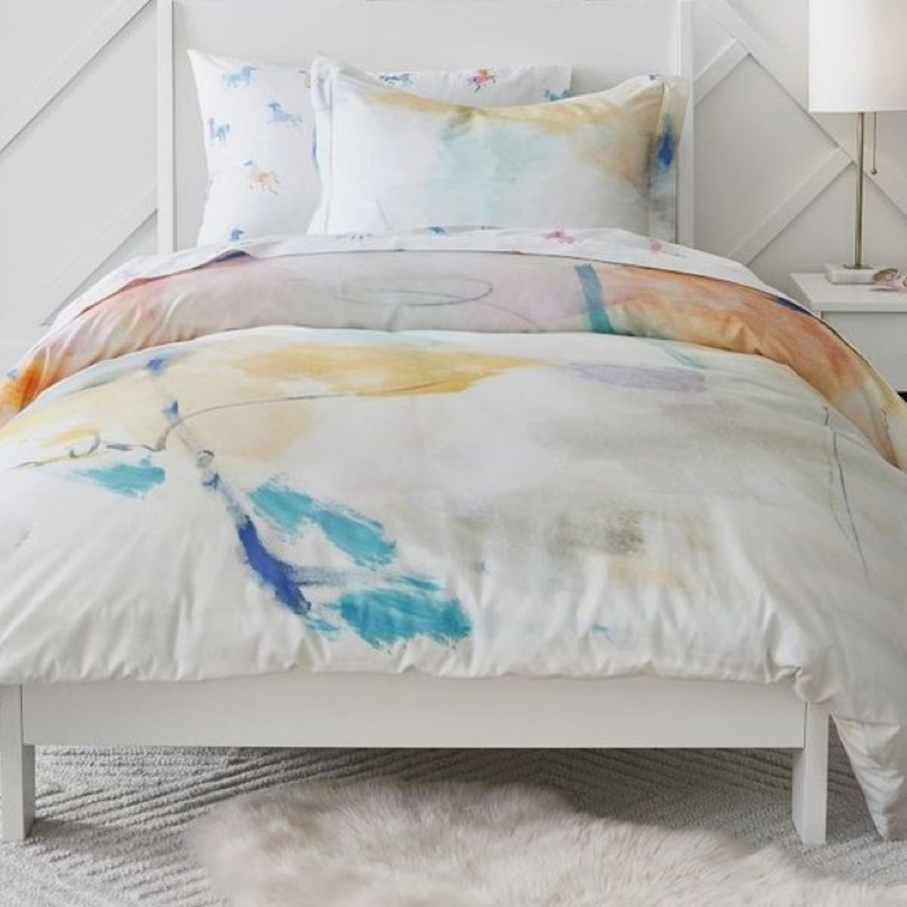 Pottery Barn Teen - West Elm Queen Duvet with two standard Shams